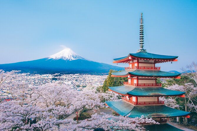 mt-fuji-highlight-photo-spots-one-day-tour-from-tokyo