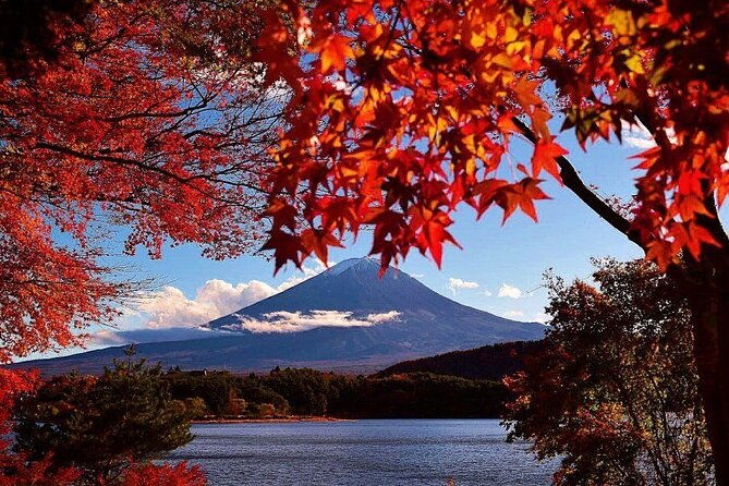mt-fuji-panoramic-ropeway-seasonal-fruits-picking