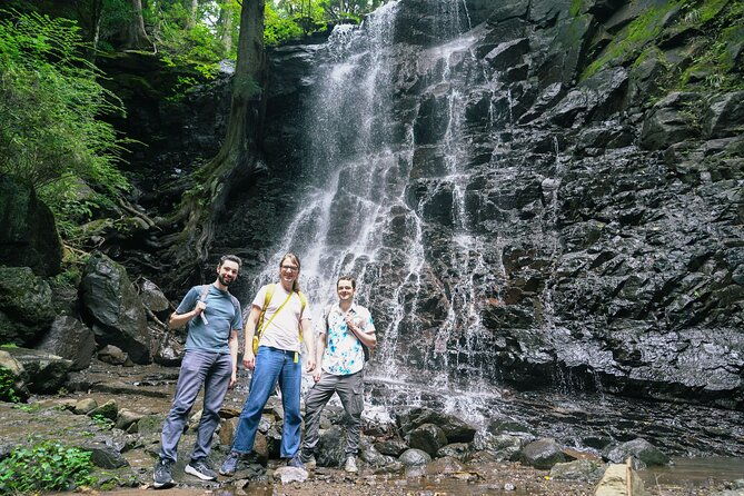 mt-fuji-private-chartered-tour-with-nature-wasabi-farm