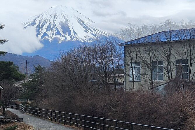 mt-fuji-private-day-tour-with-english-speaking-driver