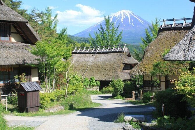 mt-fuji-private-tour-from-tokyo-with-english-guide