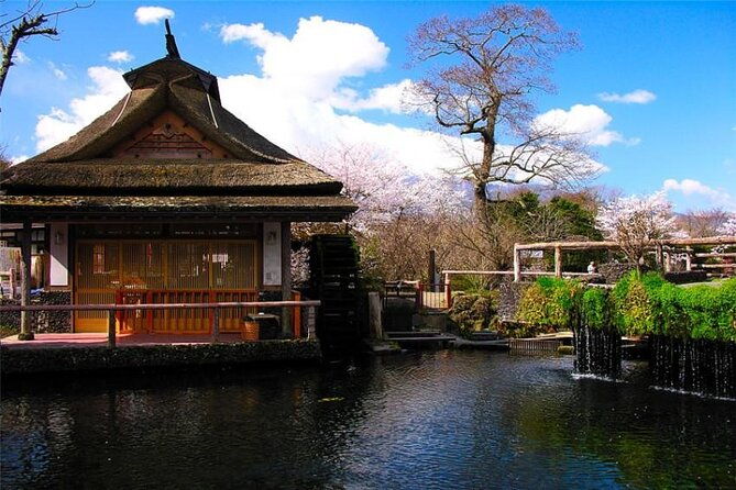 mt-fuji-private-tour-with-daily-chauffeur