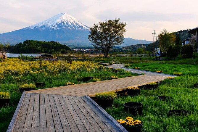 mt-fuji-private-tour-with-english-speaking-driver-2