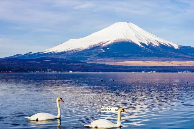 mt-fuji-to-lake-kawaguchi-lake-yamanaka-and-onsen-day-tour