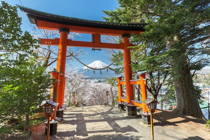 mt-fuji-tour-with-private-english-speaking-driver-from-tokyo