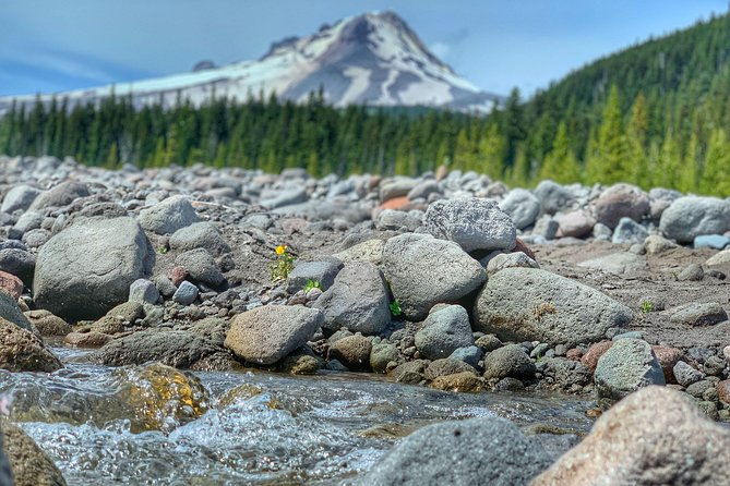 mt-hood-day-trip-from-portland-to-multnomah-falls-and-hood-river