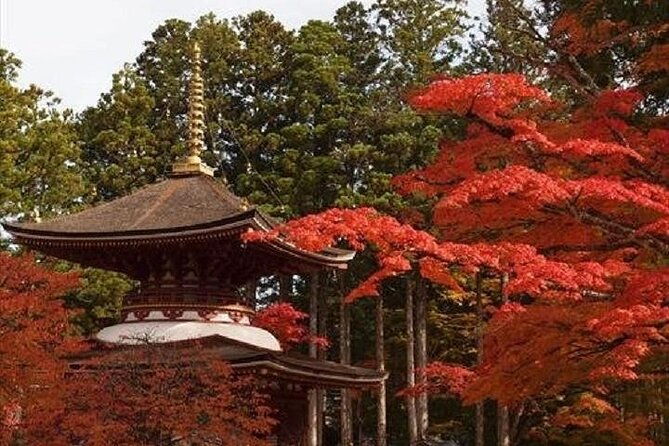 mt-koya-1-day-walking-tour-from-osaka