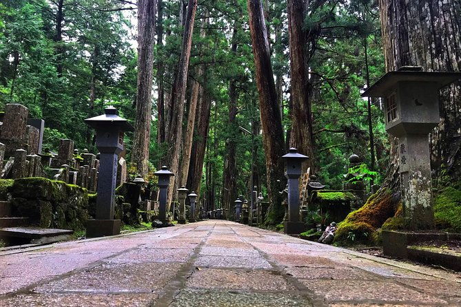 mt-koya-sacred-full-day-private-tour-osaka-departure-with-licensed-guide