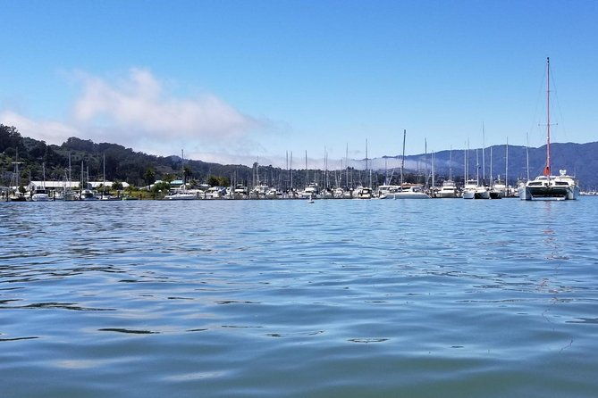 muir-woods-and-sausalito-morning-tour-small-group-half-day