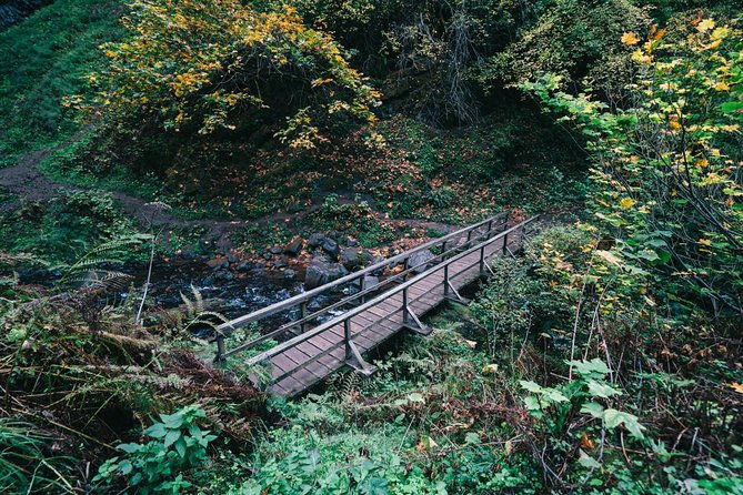 multnomah-falls-and-columbia-river-gorge-waterfalls-tour-morning