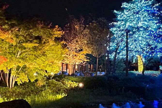 nagashima-mitsu-outlet-and-nabana-no-sato-winter-illumination