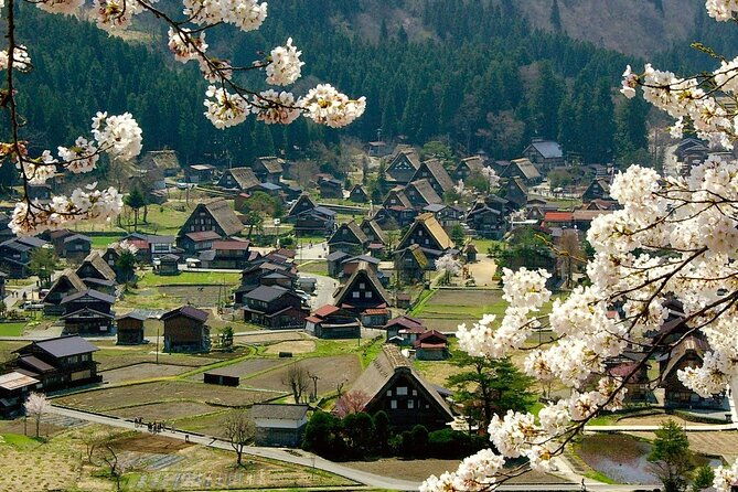 nagoya-to-takayama-shirakawa-world-heritage-english-guide