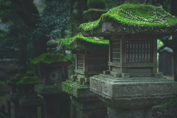 nara-culinary-tour-with-a-chef