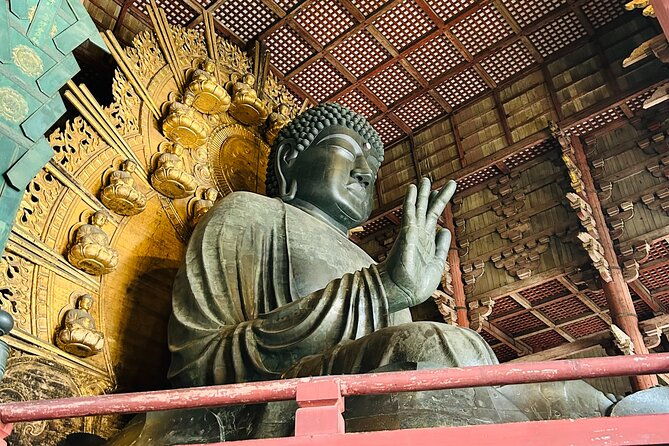 nara-early-bird-tour-kyoto-departure-option-available-2
