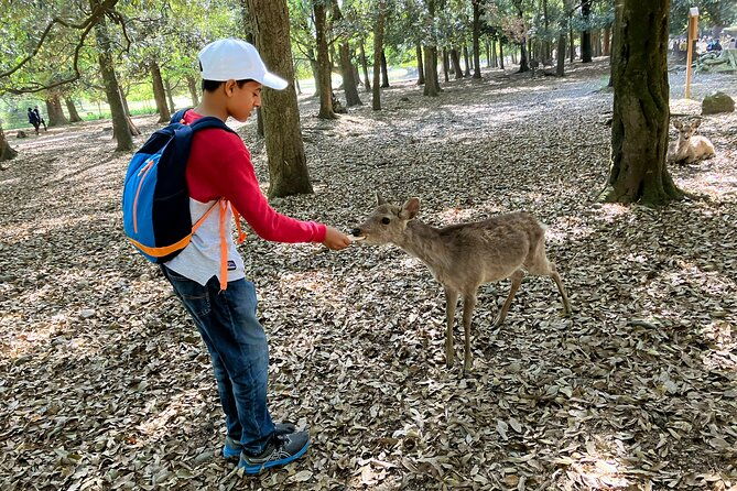 nara-half-day-tour-discover-ancient-temples-and-friendly-deer