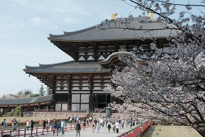 nara-heritage-walkabout-from-nara-park-to-todaji-temple