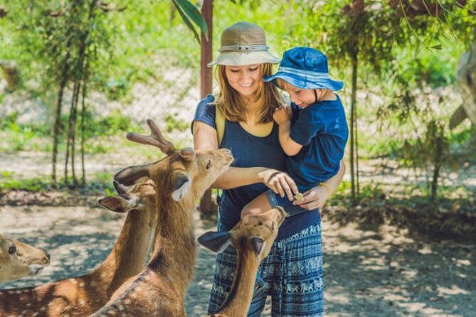 nara-personalized-half-day-food-tour-with-a-local-guide