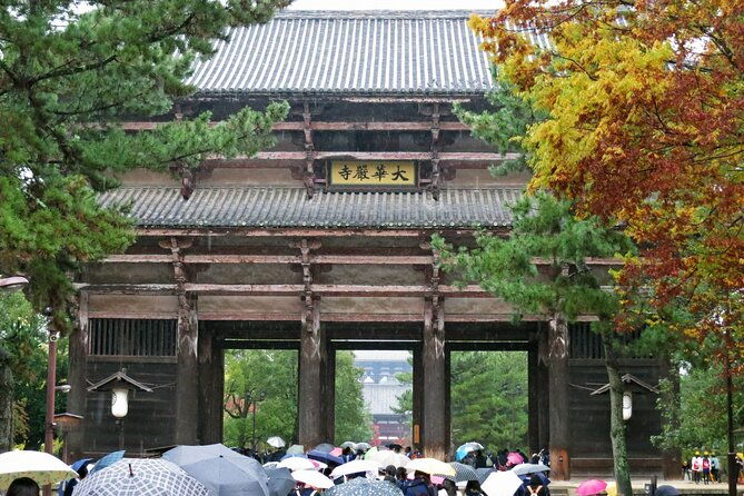 nara-world-heritage-private-tour