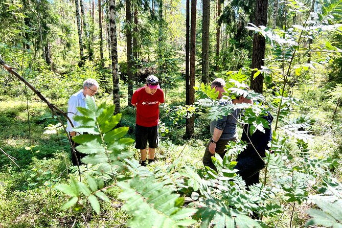 national-park-hike-finnish-smoke-sauna-experience-with-campfire-lunch