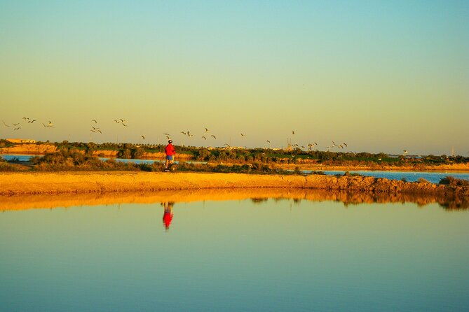 natural-park-segway-tour-with-seafood-lunch-in-faro-island