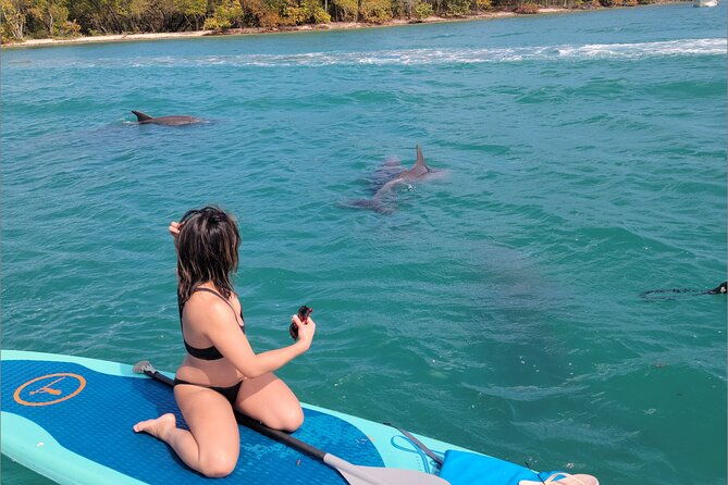 nature-island-exploration-on-sup-kayak