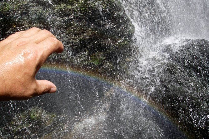 nature-tour-around-waterfalls-that-exudes-from-the-beech-forest-nishiwaga-town-iwate-prefecture