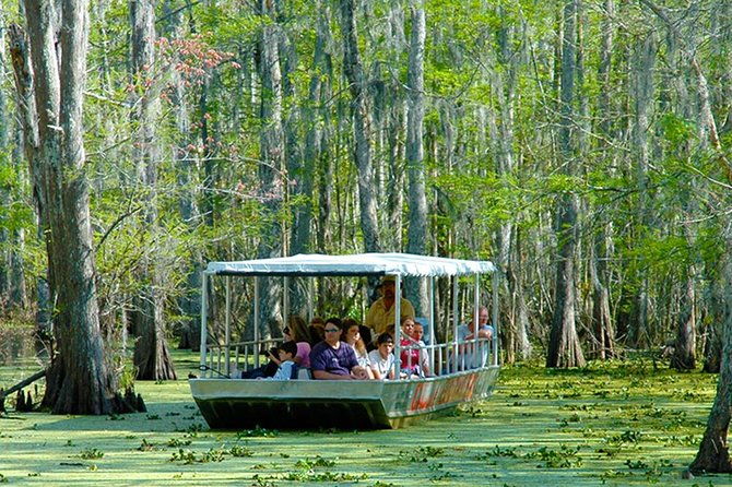 new-orleans-swamp-and-bayou-boat-tour-with-transportation