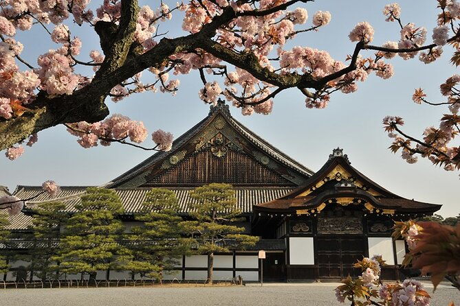 nijo-castle-samurai-culture-experience-with-a-fun-expert-guide