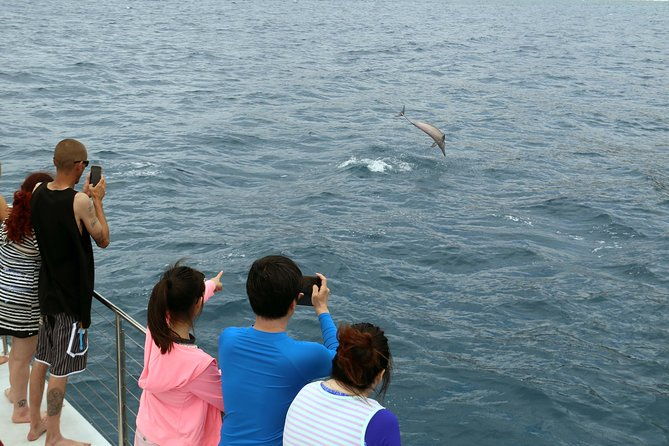 oahu-catamaran-cruise-snorkeling-wildlife-and-hawaiian-meal
