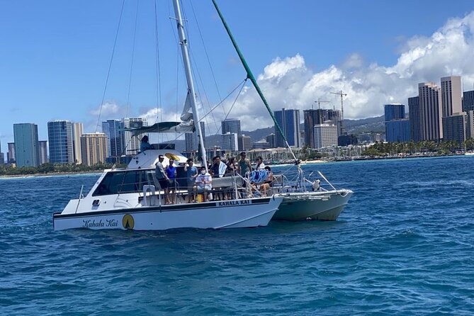 oahu-catamaran-snorkel-see-turtles-guaranteed