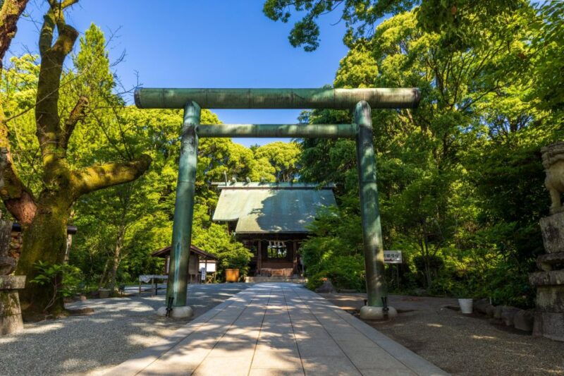 odawara-guided-ninja-samurai-tour-of-odawara-castle