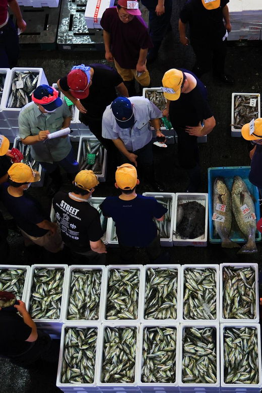 odawara-odawara-fish-market-experience