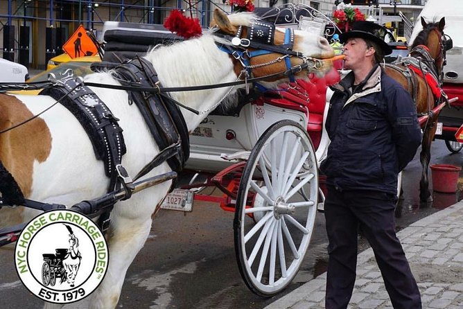 official-nyc-horse-carriage-rides-in-central-park-since-1979