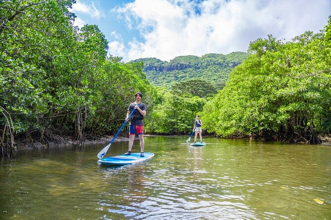 okinawa-iriomote-sup-or-canoe-and-sightseeing-in-yubujima-island