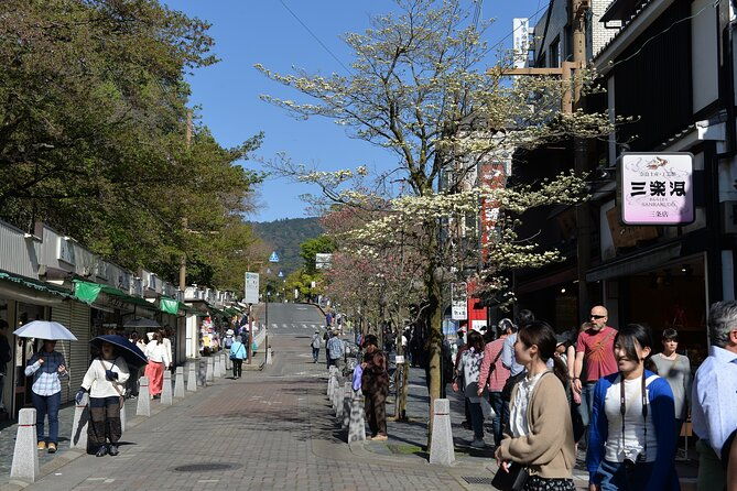old-port-town-and-ultimate-sake-tasting-private-tour-from-kyoto