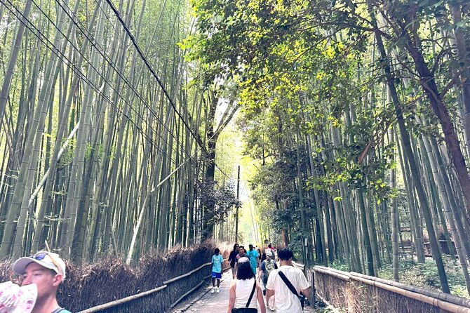 one-day-private-tour-in-kyoto-and-nara-from-osaka