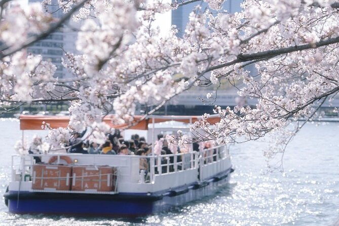 osaka-cherry-blossom-tour-with-a-local-100-personalized-private