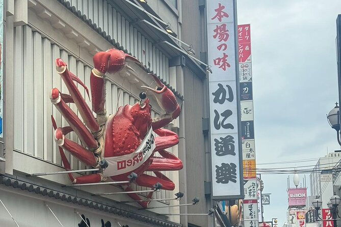 osaka-private-customizable-sightseeing-tour-with-chauffeur