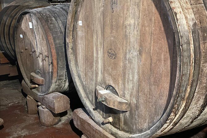 peljesac-wine-oysters-and-food-tour-from-dubrovnik