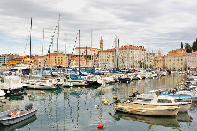 piran-panoramic-slovenian-coast-small-group-tour-from-koper