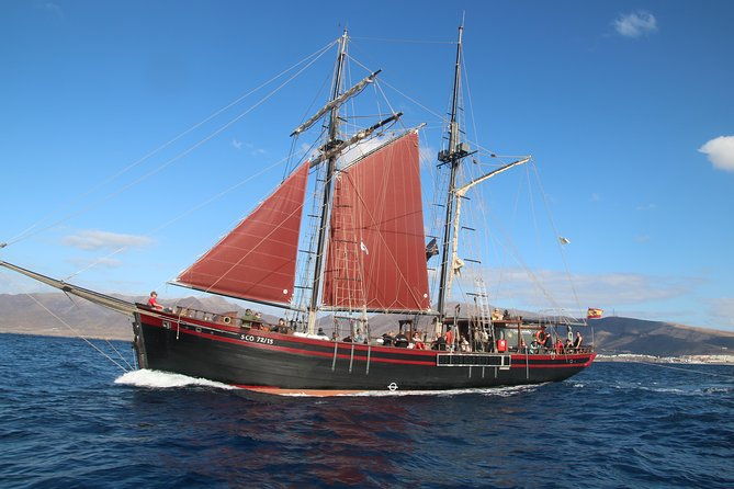 pirate-adventure-boat-tour-with-lunch-in-fuerteventura