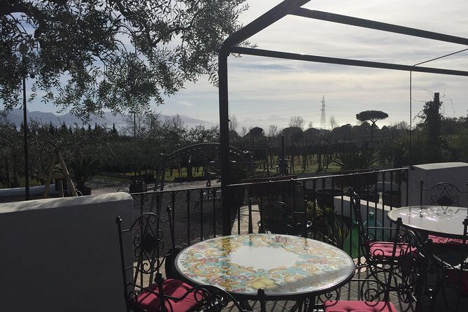 pompeii-wine-tasting-tour-from-sorrento-licensed-guide-included