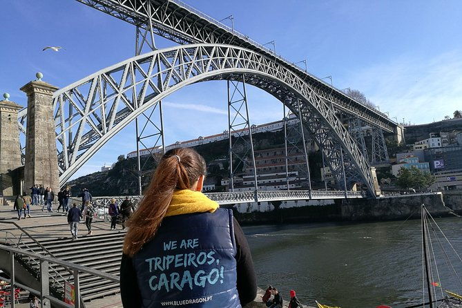 porto-2-hour-city-highlights-segway-tour-guided-experience