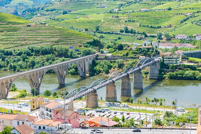porto-douro-valley-full-day-wine-tasting-river-cruise-and-lunch