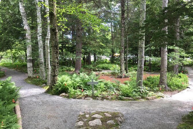 premium-narrated-bus-tour-of-bar-harbor-and-acadia-national-park-3-5-hours