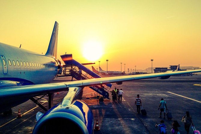 private-arrival-transfer-narita-international-airport-to-tokyo-disney