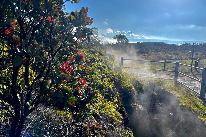 private-big-island-tour-coffee-beaches-volcanos-waterfalls
