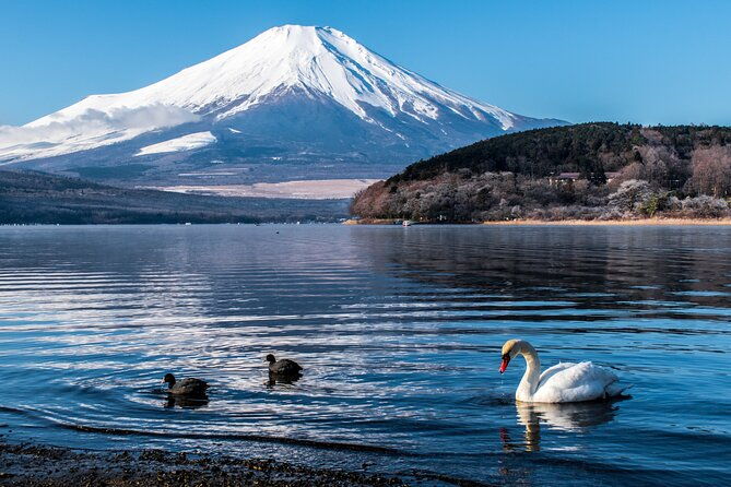 private-car-for-mt-fuji-5th-station-and-more-customizable