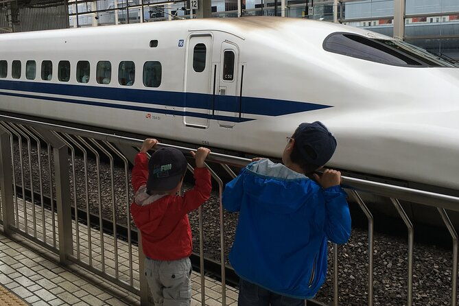 private-car-transfer-from-narita-airport-to-tokyo