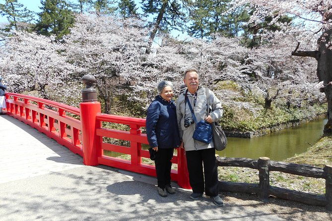private-cherry-blossom-tour-in-hirosaki-with-a-local-guide